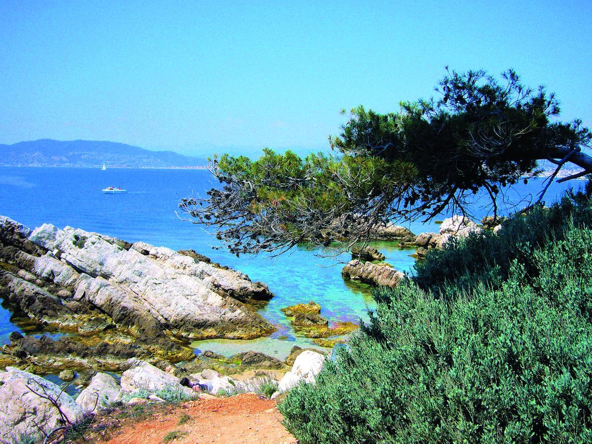 Les Rivages - Appartement Vue Mer Imprenable-Piscine Six-Fours-les-Plages Eksteriør bilde